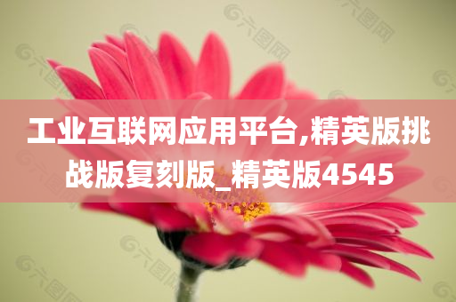 工业互联网应用平台,精英版挑战版复刻版_精英版4545