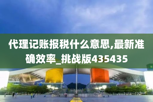 代理记账报税什么意思,最新准确效率_挑战版435435