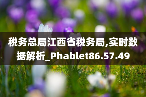 税务总局江西省税务局,实时数据解析_Phablet86.57.49