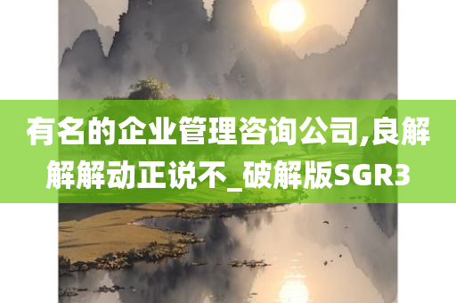 有名的企业管理咨询公司,良解解解动正说不_破解版SGR3