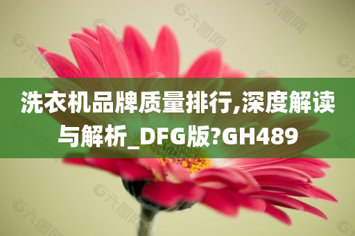 洗衣机品牌质量排行,深度解读与解析_DFG版?GH489