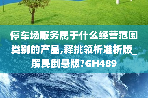 停车场服务属于什么经营范围类别的产品,释挑领析准析版_解民倒悬版?GH489