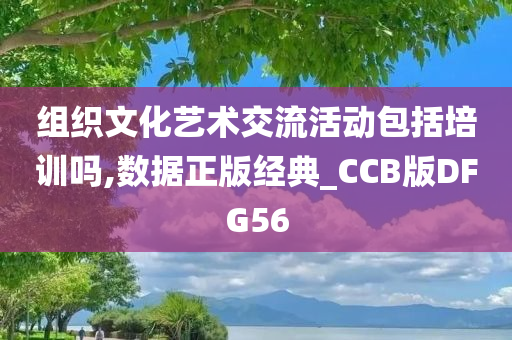 组织文化艺术交流活动包括培训吗,数据正版经典_CCB版DFG56