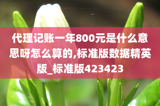 代理记账一年800元是什么意思呀怎么算的,标准版数据精英版_标准版423423