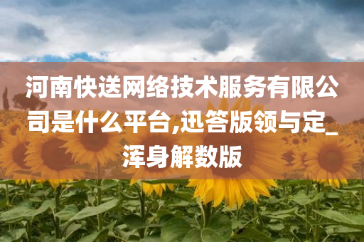 河南快送网络技术服务有限公司是什么平台,迅答版领与定_浑身解数版