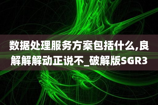 数据处理服务方案包括什么,良解解解动正说不_破解版SGR3