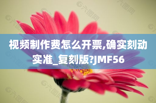 视频制作费怎么开票,确实刻动实准_复刻版?JMF56