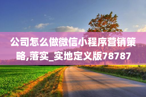 公司怎么做微信小程序营销策略,落实_实地定义版78787