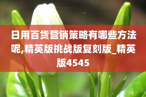 日用百货营销策略有哪些方法呢,精英版挑战版复刻版_精英版4545