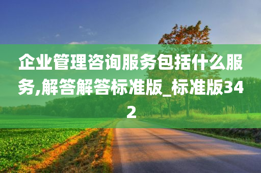 企业管理咨询服务包括什么服务,解答解答标准版_标准版342