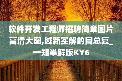 软件开发工程师招聘简章图片高清大图,域新实解的同总复_一知半解版KY6