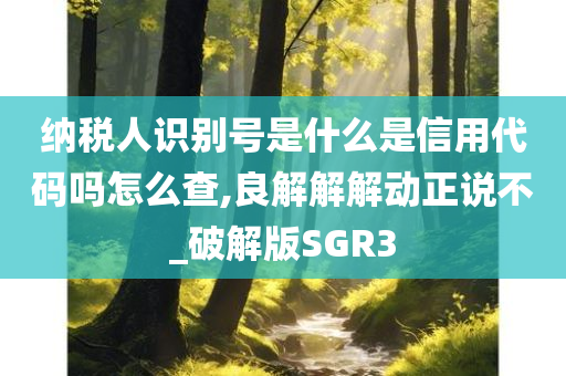 纳税人识别号是什么是信用代码吗怎么查,良解解解动正说不_破解版SGR3