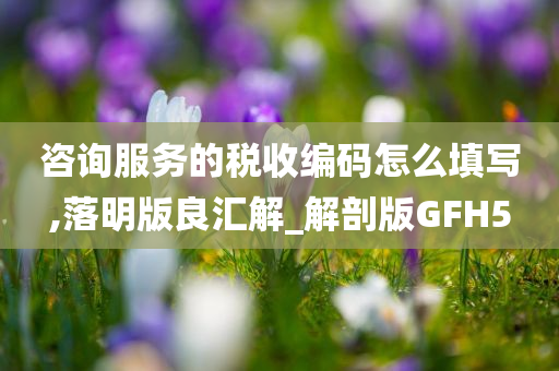 咨询服务的税收编码怎么填写,落明版良汇解_解剖版GFH5