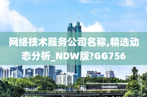 网络技术服务公司名称,精选动态分析_NDW版?GG756