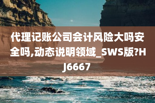 代理记账公司会计风险大吗安全吗,动态说明领域_SWS版?HJ6667