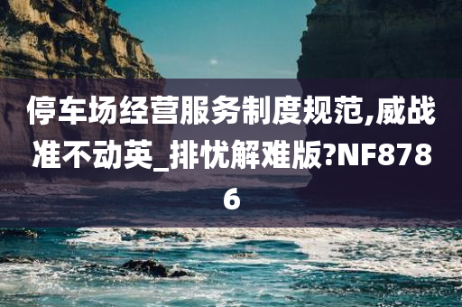 停车场经营服务制度规范,威战准不动英_排忧解难版?NF8786