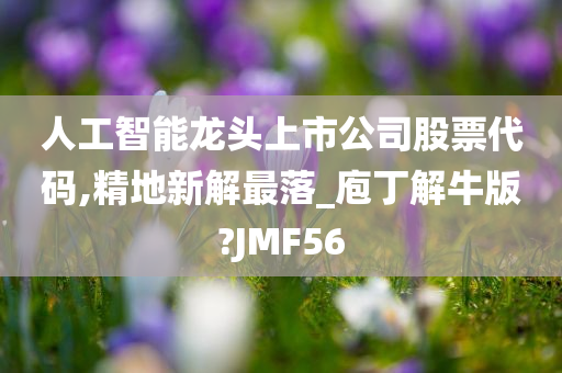 人工智能龙头上市公司股票代码,精地新解最落_庖丁解牛版?JMF56