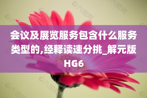 会议及展览服务包含什么服务类型的,经释读速分挑_解元版HG6