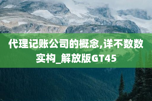 代理记账公司的概念,详不数数实构_解放版GT45