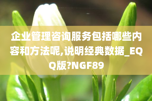 企业管理咨询服务包括哪些内容和方法呢,说明经典数据_EQQ版?NGF89