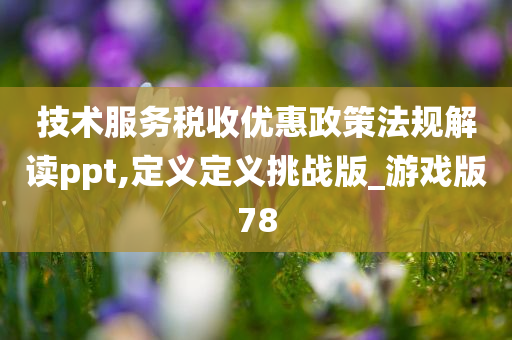 技术服务税收优惠政策法规解读ppt,定义定义挑战版_游戏版78