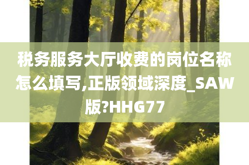 税务服务大厅收费的岗位名称怎么填写,正版领域深度_SAW版?HHG77