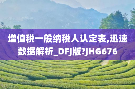 增值税一般纳税人认定表,迅速数据解析_DFJ版?JHG676