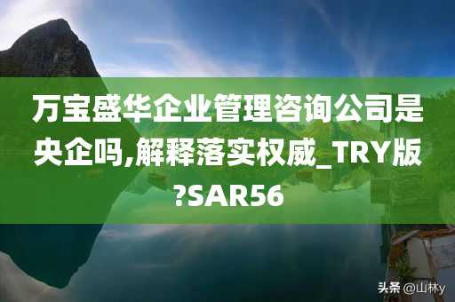 万宝盛华企业管理咨询公司是央企吗,解释落实权威_TRY版?SAR56