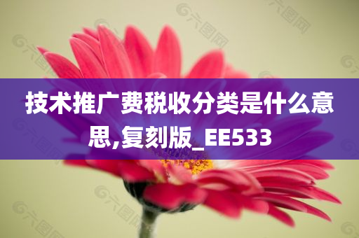 技术推广费税收分类是什么意思,复刻版_EE533