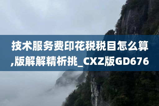 技术服务费印花税税目怎么算,版解解精析挑_CXZ版GD676