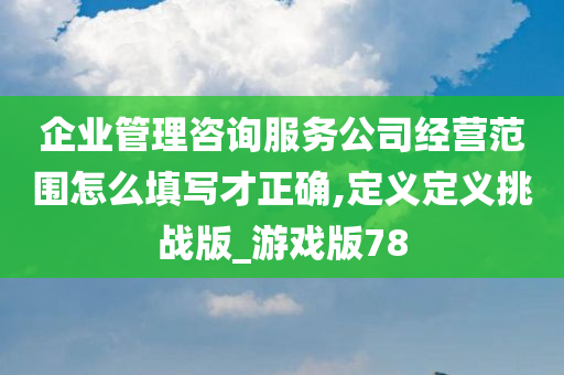 企业管理咨询服务公司经营范围怎么填写才正确,定义定义挑战版_游戏版78