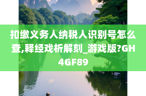 扣缴义务人纳税人识别号怎么查,释经戏析解刻_游戏版?GH4GF89