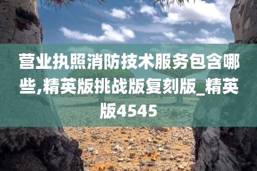 营业执照消防技术服务包含哪些,精英版挑战版复刻版_精英版4545