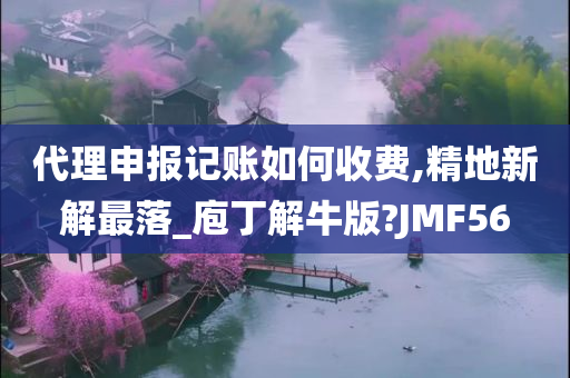 代理申报记账如何收费,精地新解最落_庖丁解牛版?JMF56