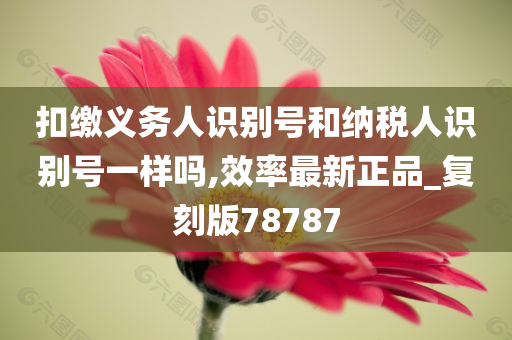 扣缴义务人识别号和纳税人识别号一样吗,效率最新正品_复刻版78787