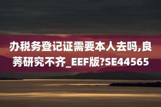 办税务登记证需要本人去吗,良莠研究不齐_EEF版?SE44565