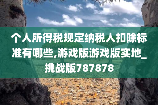 个人所得税规定纳税人扣除标准有哪些,游戏版游戏版实地_挑战版787878