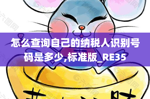 怎么查询自己的纳税人识别号码是多少,标准版_RE35