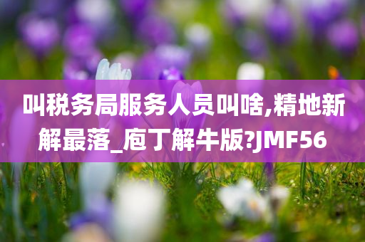 叫税务局服务人员叫啥,精地新解最落_庖丁解牛版?JMF56