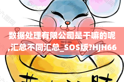 数据处理有限公司是干嘛的呢,汇总不同汇总_SOS版?HJH66