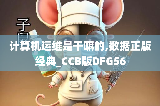 计算机运维是干嘛的,数据正版经典_CCB版DFG56