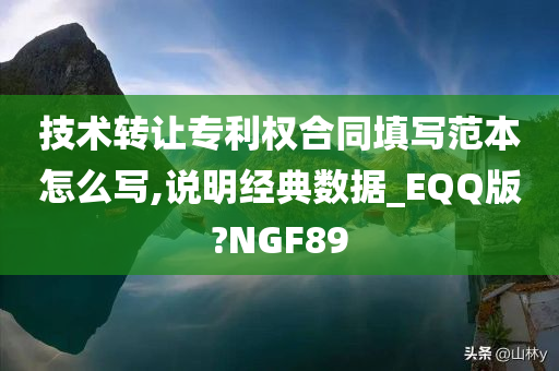 技术转让专利权合同填写范本怎么写,说明经典数据_EQQ版?NGF89