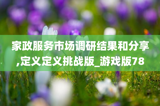 家政服务市场调研结果和分享,定义定义挑战版_游戏版78