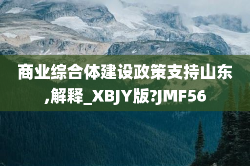 商业综合体建设政策支持山东,解释_XBJY版?JMF56