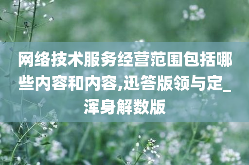 网络技术服务经营范围包括哪些内容和内容,迅答版领与定_浑身解数版