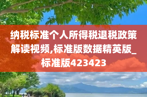 纳税标准个人所得税退税政策解读视频,标准版数据精英版_标准版423423