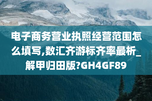 电子商务营业执照经营范围怎么填写,数汇齐游标齐率最析_解甲归田版?GH4GF89