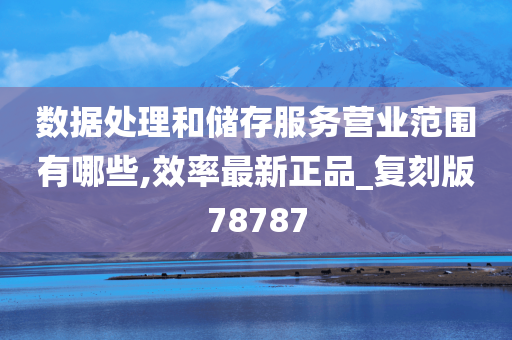 数据处理和储存服务营业范围有哪些,效率最新正品_复刻版78787