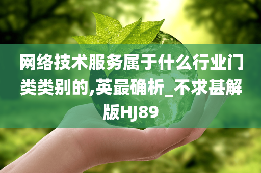 网络技术服务属于什么行业门类类别的,英最确析_不求甚解版HJ89