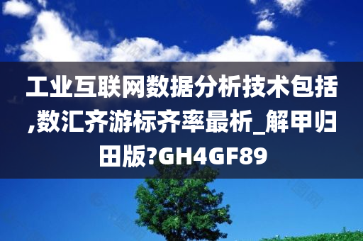 工业互联网数据分析技术包括,数汇齐游标齐率最析_解甲归田版?GH4GF89